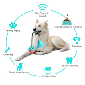 Bola de Brinquedo para Cães  Divertirem