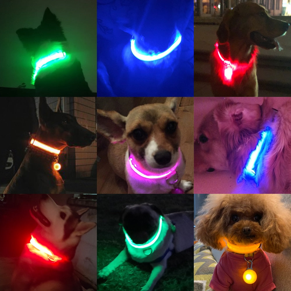 Colar de Led para Pets