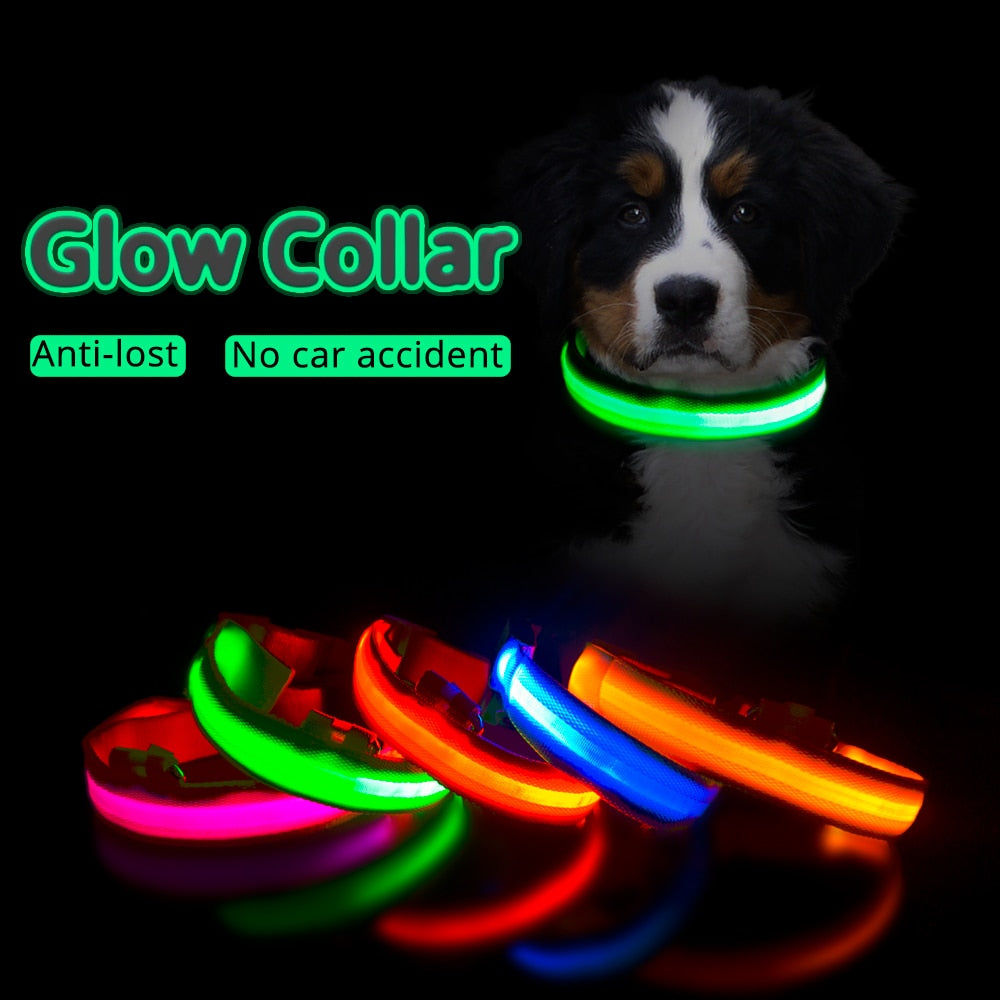 Colar de Led para Pets